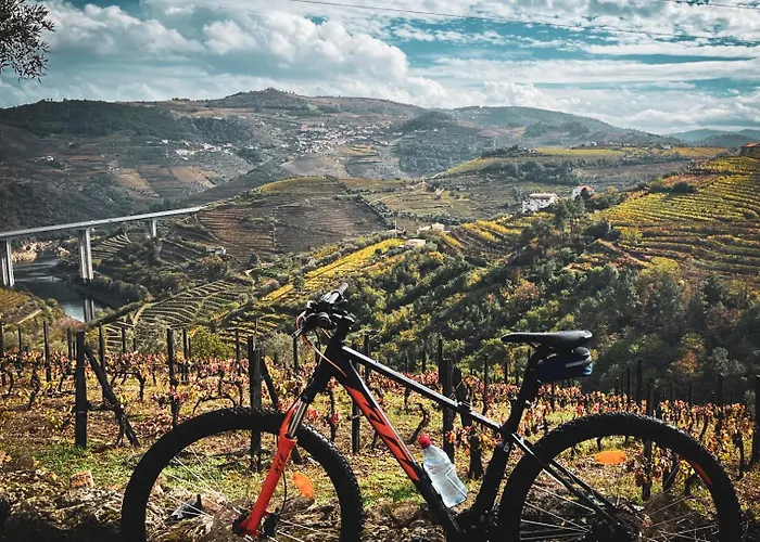 Solar Do Douro * Santa Cruz do Douro